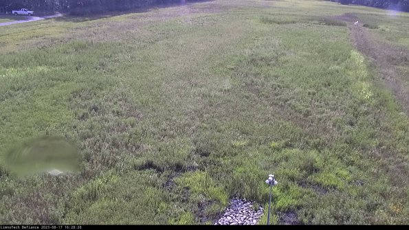 Cell 1_23-08-17_16-28-20-92