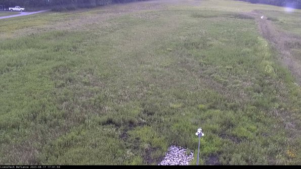 Cell 1_23-08-17_17-01-50-88