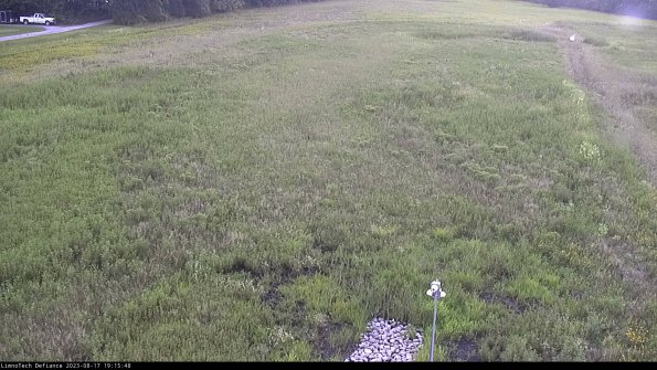 Cell 1_23-08-17_19-15-48-89