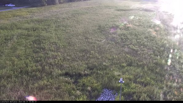 Cell 1_23-08-17_19-49-17-87