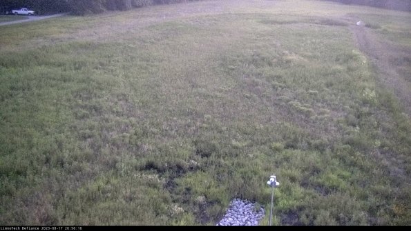 Cell 1_23-08-17_20-56-16-91