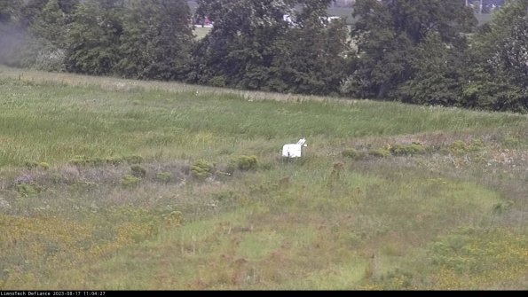 Cell 2 to 3_23-08-17_11-04-27-96