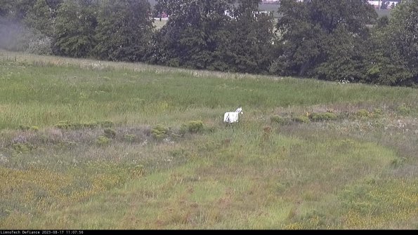 Cell 2 to 3_23-08-17_11-07-57-00