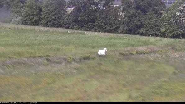 Cell 2 to 3_23-08-17_12-00-57-03