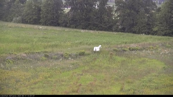 Cell 2 to 3_23-08-17_13-07-58-04