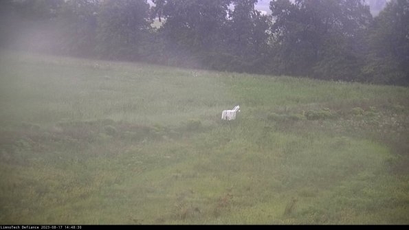 Cell 2 to 3_23-08-17_14-48-31-04