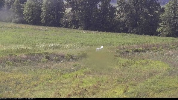 Cell 2 to 3_23-08-17_16-29-01-16