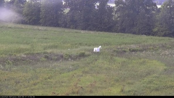 Cell 2 to 3_23-08-17_17-02-30-99