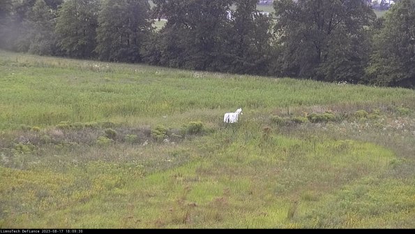 Cell 2 to 3_23-08-17_18-09-30-96