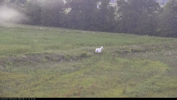 Cell 2 to 3_23-08-17_19-16-28-96