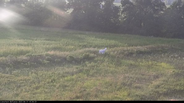 Cell 2 to 3_23-08-17_19-49-58-08