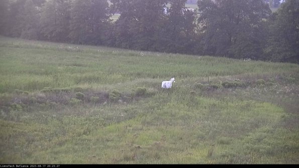 Cell 2 to 3_23-08-17_20-23-28-07