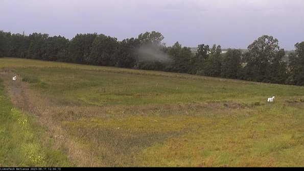 Cell 2_23-08-17_12-34-13-94