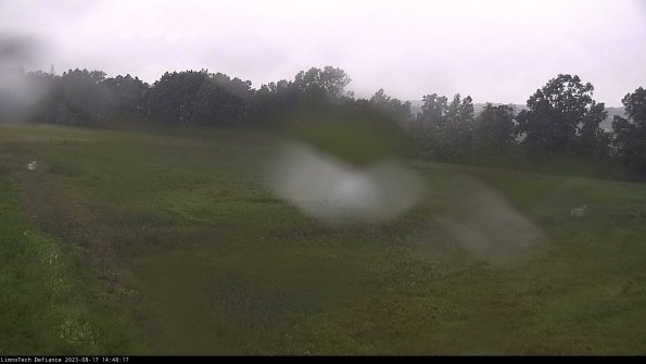 Cell 2_23-08-17_14-48-17-89