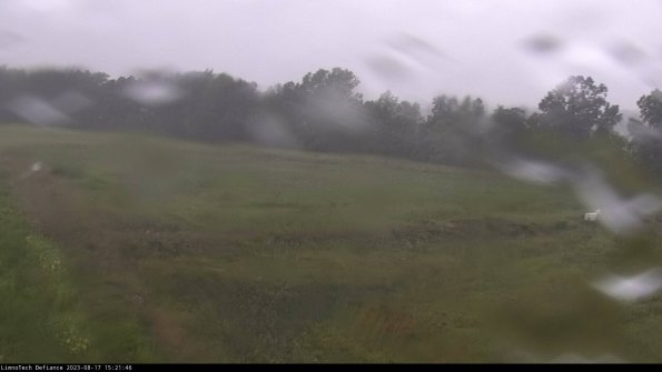 Cell 2_23-08-17_15-21-46-88