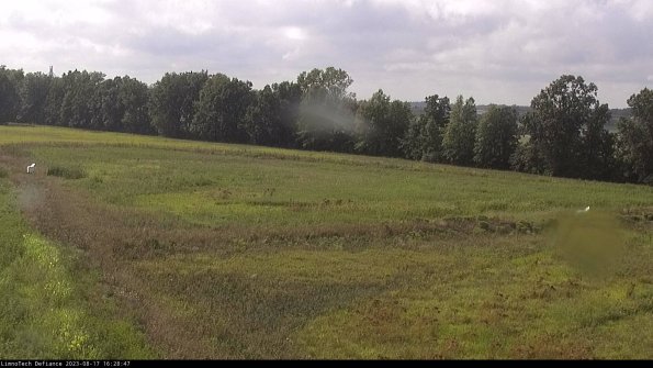 Cell 2_23-08-17_16-28-47-95