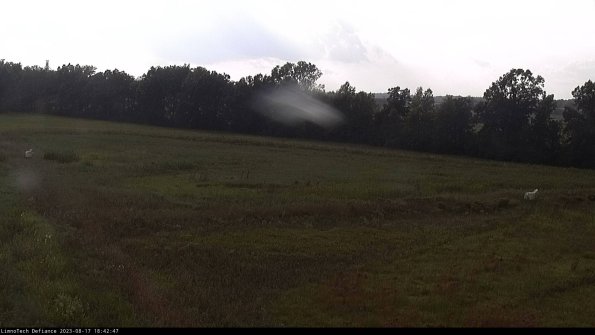 Cell 2_23-08-17_18-42-47-90