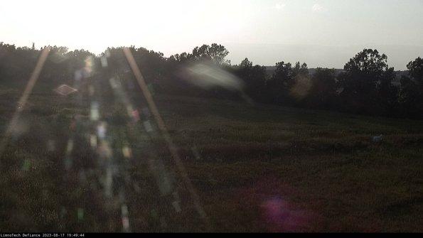 Cell 2_23-08-17_19-49-44-90