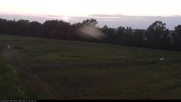 Cell 2_23-08-17_20-23-14-96