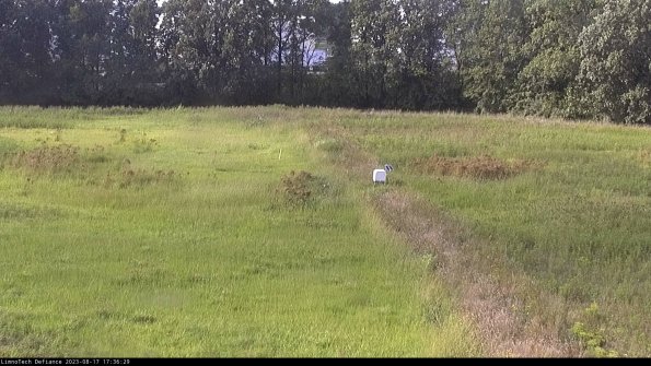 Cell 3 to 4_23-08-17_17-36-29-87