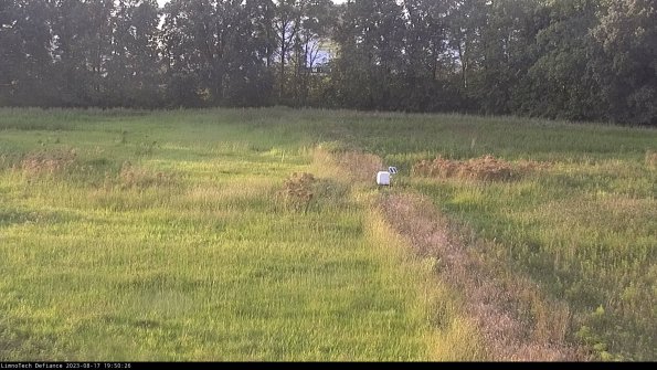 Cell 3 to 4_23-08-17_19-50-26-91