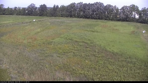 Cell 3_23-08-17_11-04-42-17