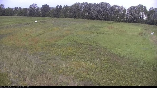 Cell 3_23-08-17_12-01-11-85