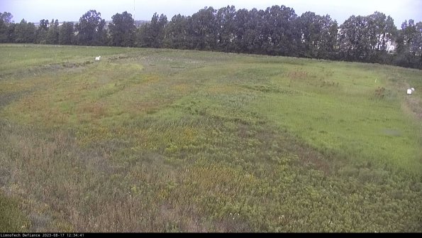 Cell 3_23-08-17_12-34-41-86