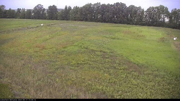 Cell 3_23-08-17_13-08-12-85