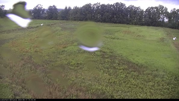 Cell 3_23-08-17_15-55-43-89