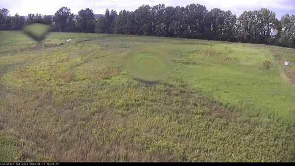 Cell 3_23-08-17_16-29-15-91