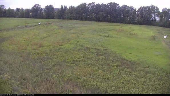 Cell 3_23-08-17_18-09-45-90