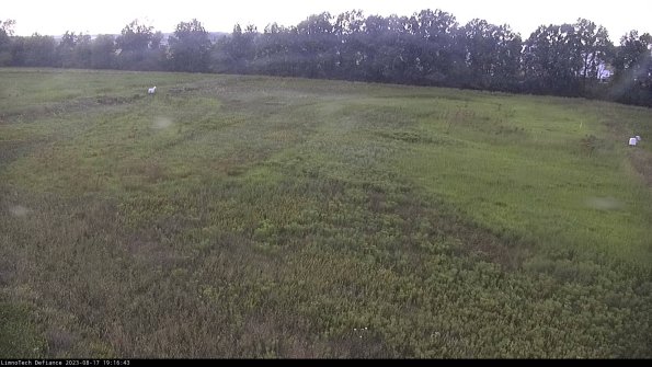 Cell 3_23-08-17_19-16-43-88