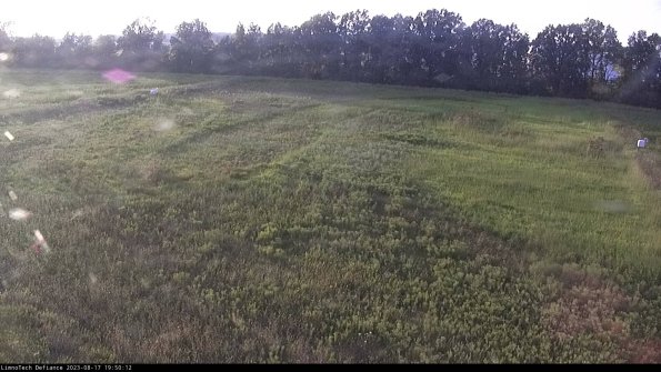 Cell 3_23-08-17_19-50-12-86