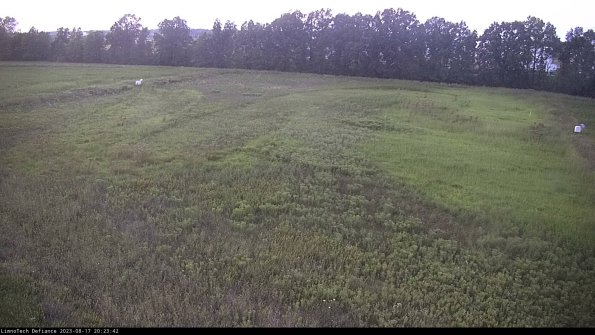 Cell 3_23-08-17_20-23-42-88