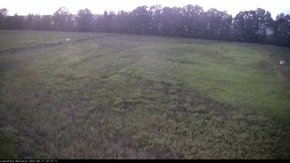 Cell 3_23-08-17_20-57-11-90