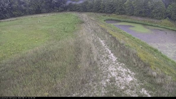 Cell 4 to Basin_23-08-17_12-35-39-89