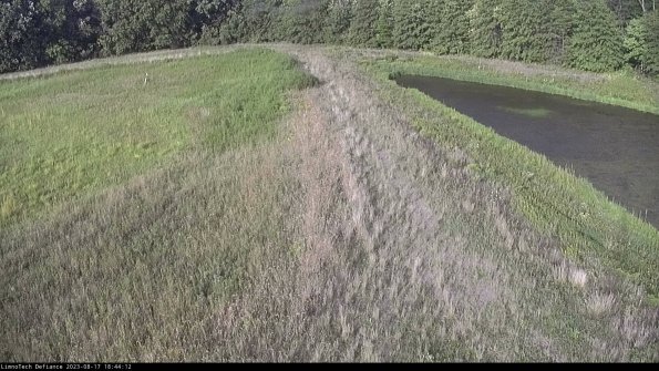 Cell 4 to Basin_23-08-17_18-44-12-85