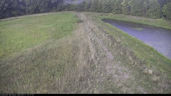 Cell 4 to Basin_23-08-17_19-17-41-90