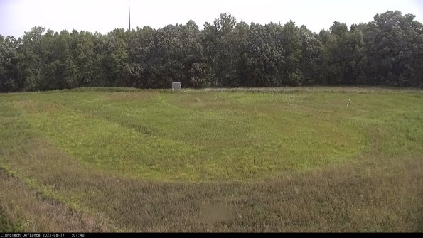 Cell 4_23-08-17_11-01-40-89