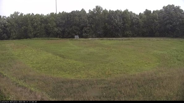 Cell 4_23-08-17_11-08-39-88