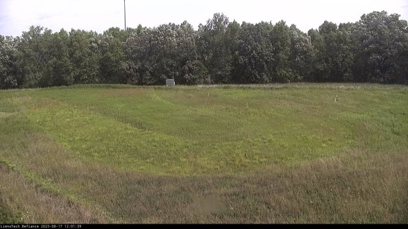 Cell 4_23-08-17_12-01-39-87