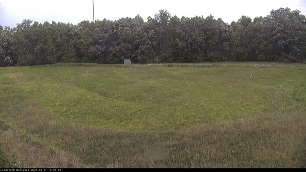 Cell 4_23-08-17_12-35-09-86