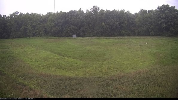 Cell 4_23-08-17_14-49-13-88