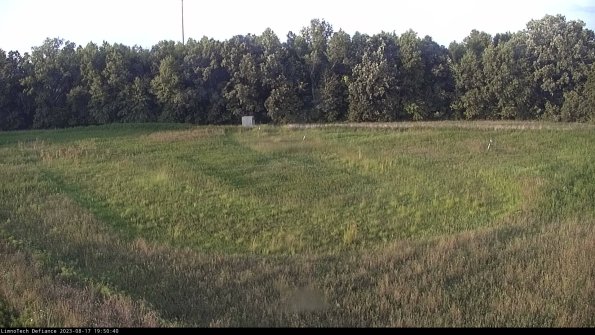 Cell 4_23-08-17_19-50-40-89