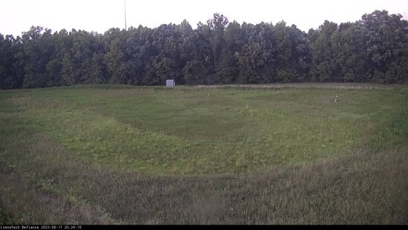 Cell 4_23-08-17_20-24-10-88