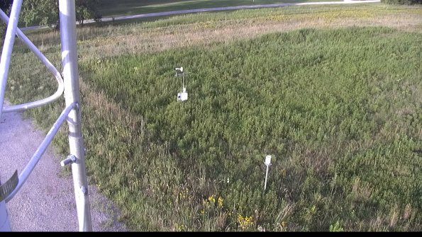 capture-1-23-08-17_07-55-10-98