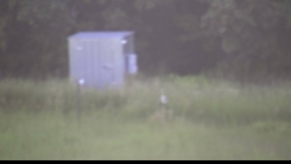 capture-2-23-08-17_07-29-27-96