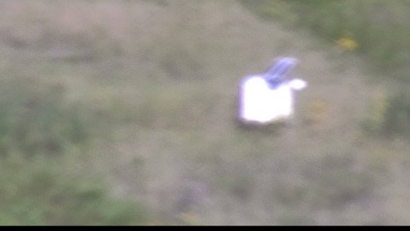 capture-4-23-08-17_09-03-56-70