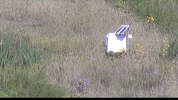 capture-4-23-08-17_09-19-56-83